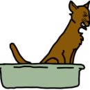 토곡동물병원 이미지