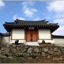 윗대이리 이미지