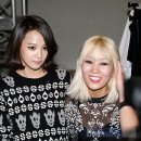 요니 이미지