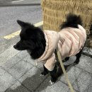 러버몽 이미지