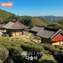 다솔사길 | 경남 사천 다솔사 단풍 산책코스 추천 가을에 꼭 가봐야 할 경남 사찰 여행