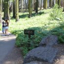 크레센트 (CRESCENT) 이미지