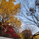 037-1 | 2025-037: 2025 KIMDONGRYUL CONCERT 산책 (2025 김동률 콘서트 산책)(2025.11.13.후기)