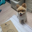 24시 잠실온 동물병원 이미지