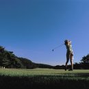 장항 스크린골프 이미지