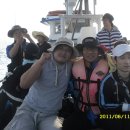 (주)위지트 Daum카페