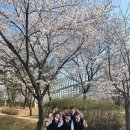 時節因緣