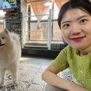 알차게 놀기 (3/22~4/7)