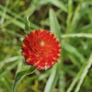 단월면사무소 이미지