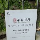 부산 해운대 송정 바다뷰카페 추천 수월경화 후기