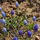 림스토리 이미지