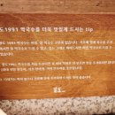 팔도1991 이미지