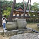 천년태권도 이미지