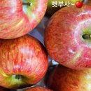 싱싱청과야채 이미지