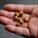 충북사 이미지