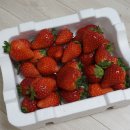 딸기피씨 이미지