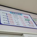 영천참붕어