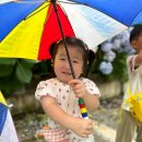 ☔️기쁨반은 비가 오는 날도 즐거워요☔️ 이미지