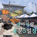 용문 애견 | 용문장날 5일장 애견동반 후기 및 용문역 가는법 주차 꿀팁 먹거리