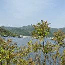 세븐일레븐 설악뾰루봉점 이미지