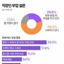 하니부업