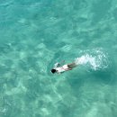 세탁쇼인천시어터점 | [몰디브 신혼여행🇲🇻] 아나네아 리조트 Day 3 - 널스 샤크 투어, LUNA 레스토랑 추천⭐️