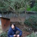 웜벳동물병원 이미지