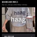 에이루 | 헤이그 한남 쇼룸 후기