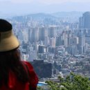 365일공인중개사사무소 이미지