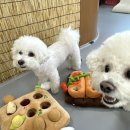 아이멍그라운드 이미지