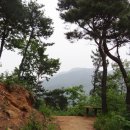 지리산둘레길 22코스(주천-밤재) 이미지