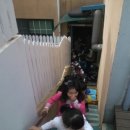 혜화유치원 이미지