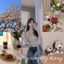 취향을 가득 담은 봄날의 주간 일기 (벚꽃, 마렝고, 폰타나, 스타벅스 스누피)