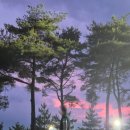 권실장참마찹쌀꽈배기주촌점