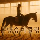 분당승마클럽 이미지