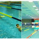 단양청소년수련관 수영장 이미지