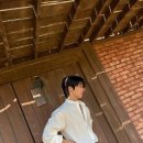 플라잉오프
