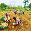 자경농장 이미지