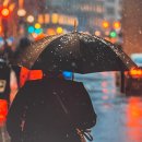 하둡 | 하둡인강 패키지 듣고 프로그래밍 레벨업!