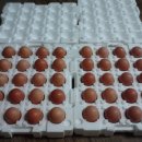 자연알로(서천) 이미지