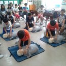 정덕초등학교 이미지