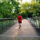 오가닉플러스 이미지