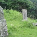 이일 장군 묘 이미지