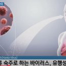 진 해크먼 아내의 사망 원인 &#39;한타바이러스&#39;는 무엇? 이미지