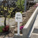 스테이브릴 이미지