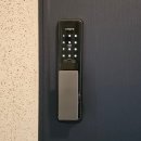 신방한라동백@ 2 이미지