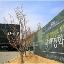 광명동굴 (라스코전시관) 이미지