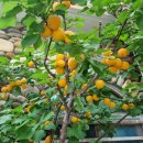 MK 리버티하우스 이미지