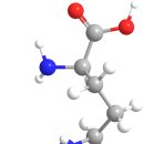 알기닌:아르기닌 :류신:NaOH : KCN :KCl:KCl?? : 20 아미노산(XX) 이미지