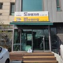 우수렙타일 | 수원 용인 파충류샵 도마뱀자리 비바랩타일: 레드바이 크레스티드 게코 분양